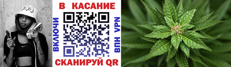 Магазины продажи наркотиков Гаджиево Экстази  Меф  ГАШ  A-PVP  АМФ 