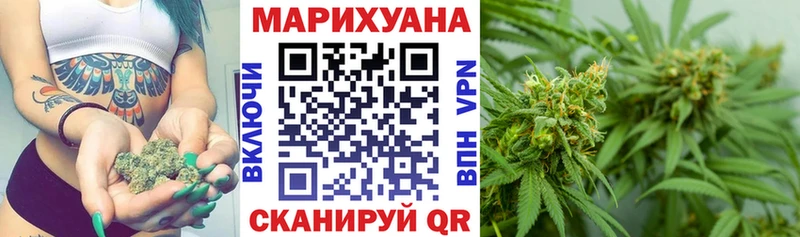Конопля гибрид  Гаджиево 